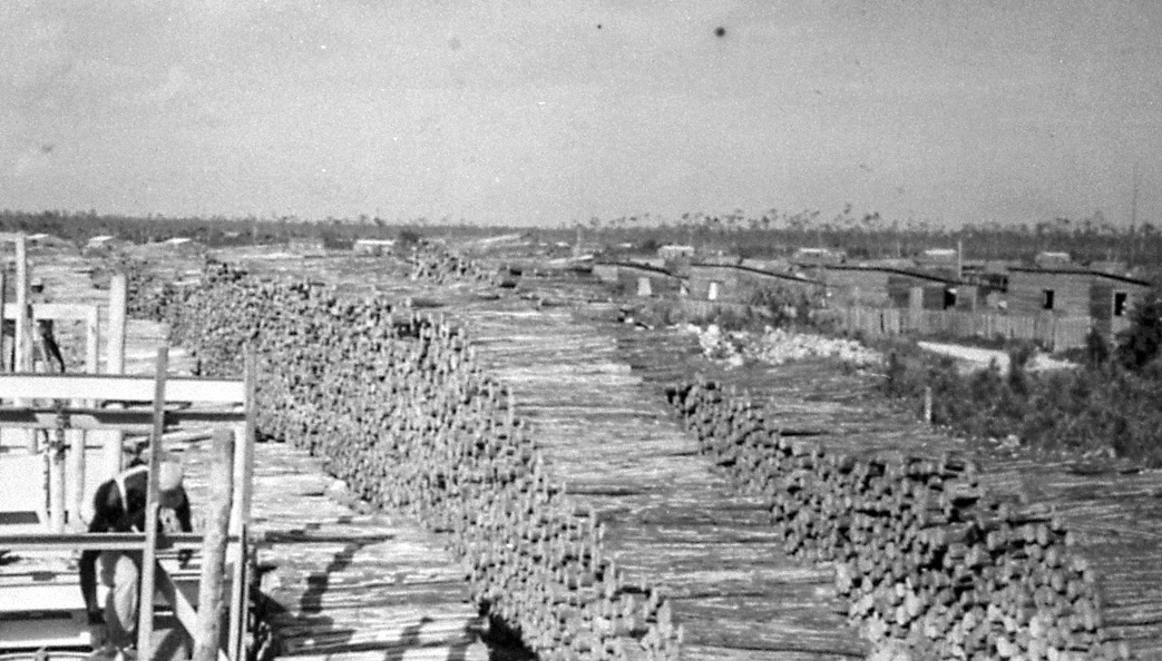 Lumber awaiting shipment at Pine Ridge, 1950's